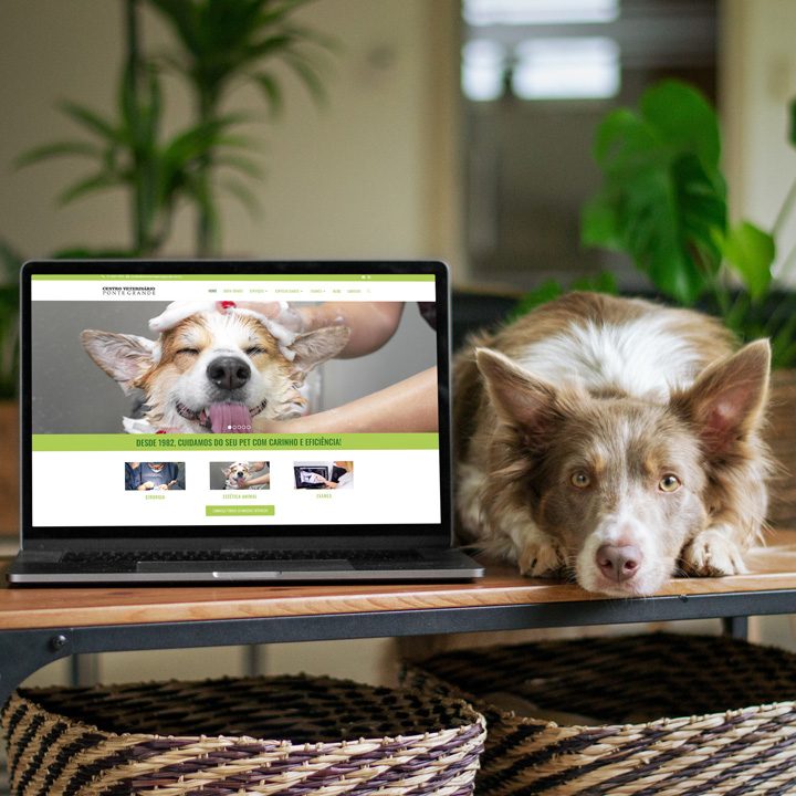 Laptop exibindo a página inicial do site da Veterinária Ponte Grande, com um cão deitado ao lado, simbolizando o desenvolvimento e design de sites para clínicas veterinárias.